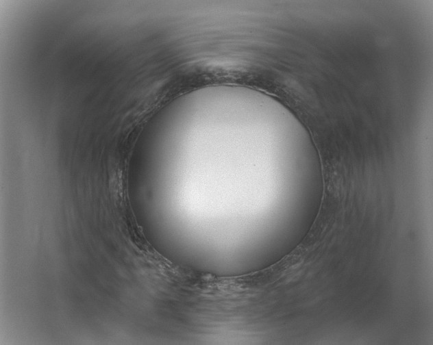 X0000062861061200601271524