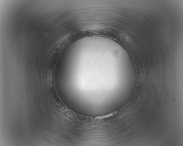 X0000062861062200601271524