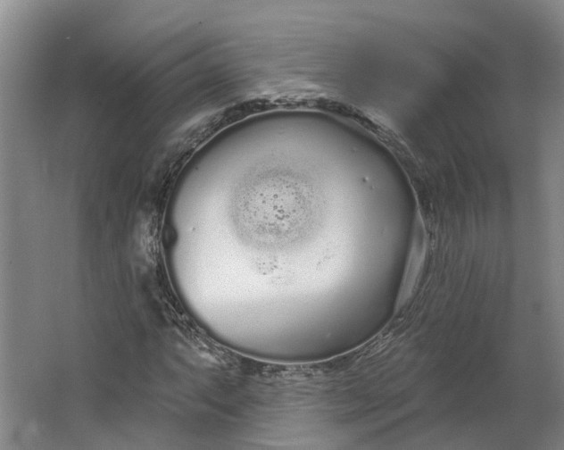 X0000062861063200601271524