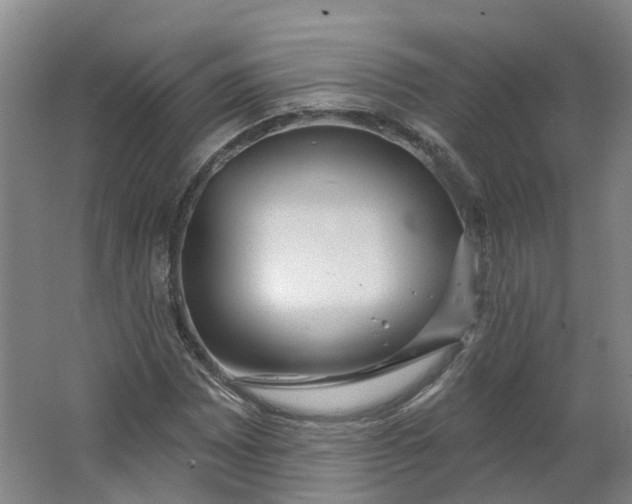 X0000062861065200601271524