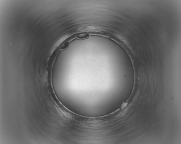 X0000062861066200601271524