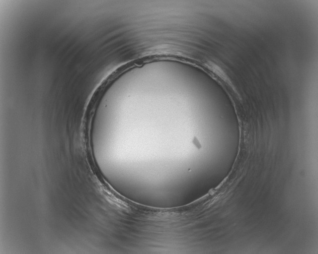 X0000062861068200601271524