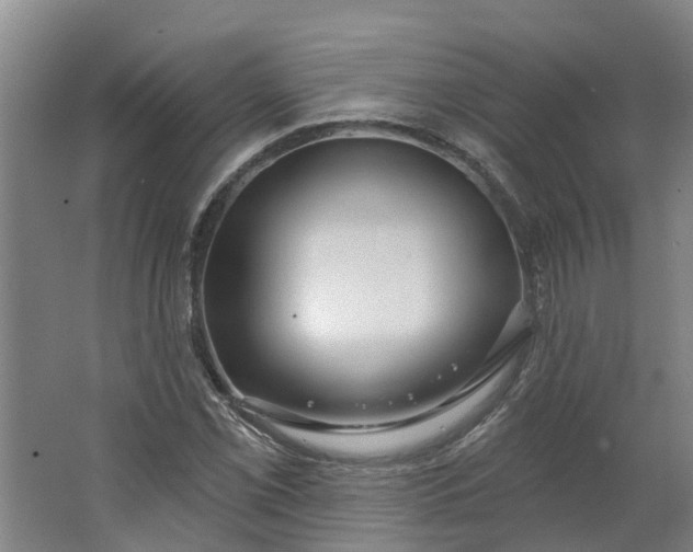 X0000062861069200601271524