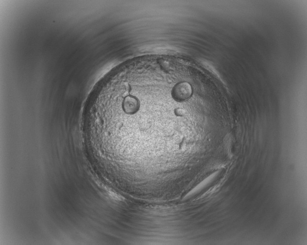 X0000062861071200601271524