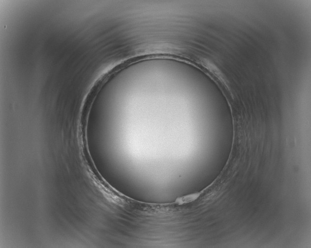 X0000062861072200601271524