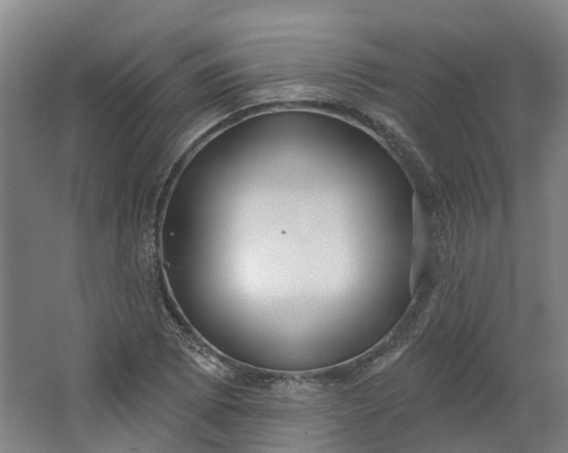 X0000062861073200601271524