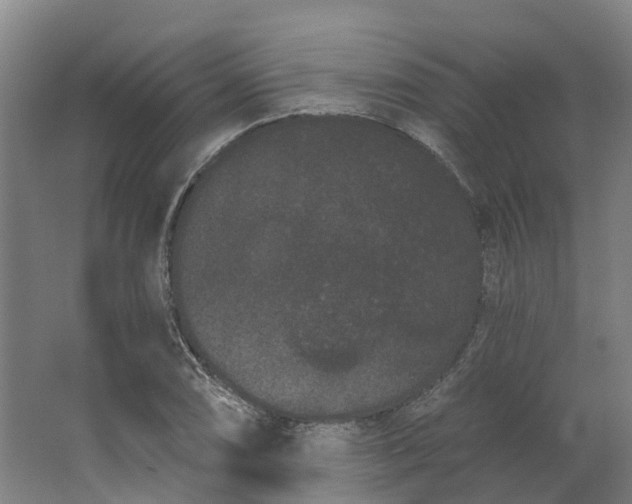 X0000062861074200601271524