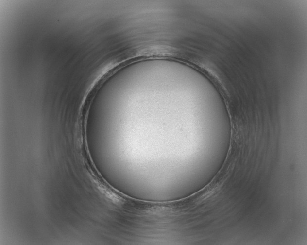 X0000062861075200601271524