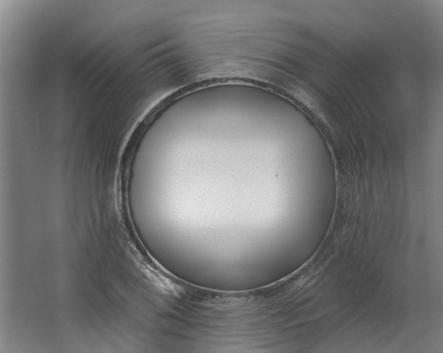 X0000062861076200601271524