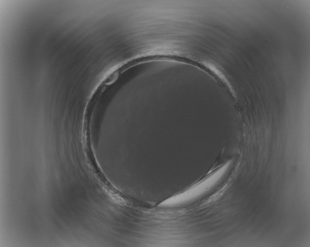 X0000062861077200601271524