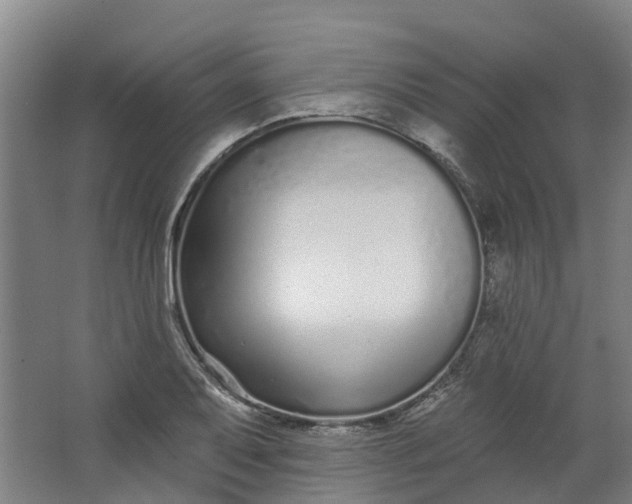 X0000062861079200601271524