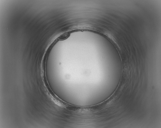 X0000062861082200601271524