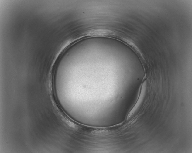 X0000062861083200601271524