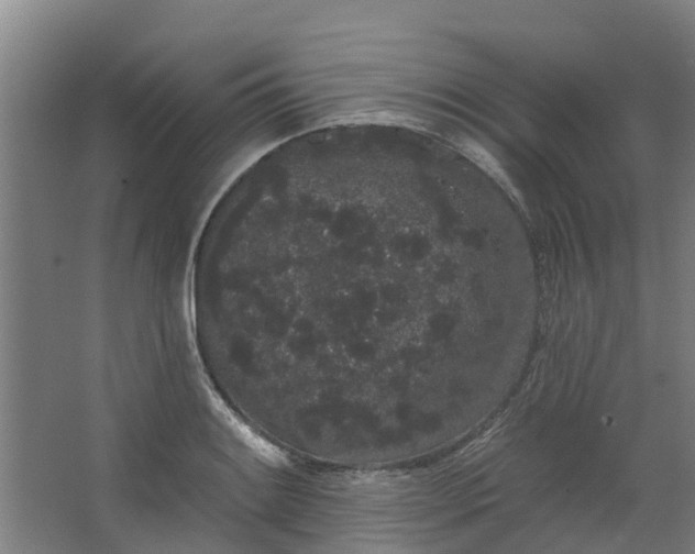 X0000062861084200601271524