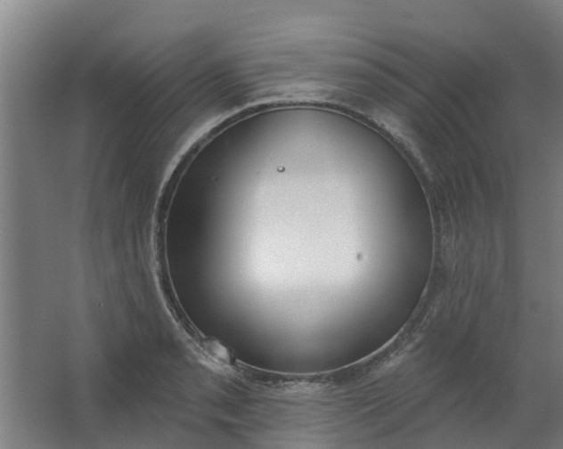 X0000062861085200601271524