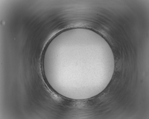 X0000062861086200601271524