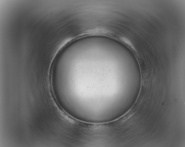 X0000062861087200601271524