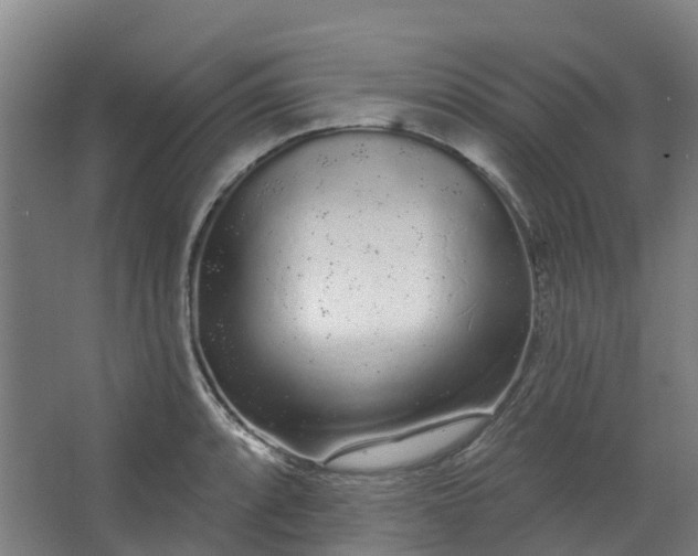 X0000062861088200601271524