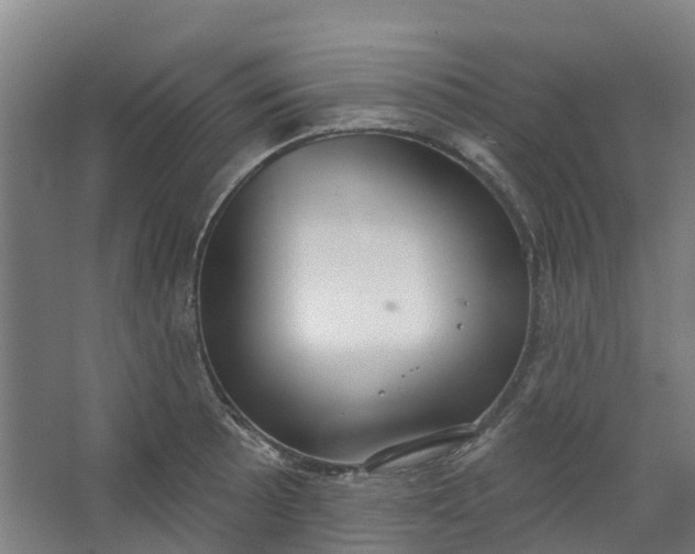 X0000062861089200601271524