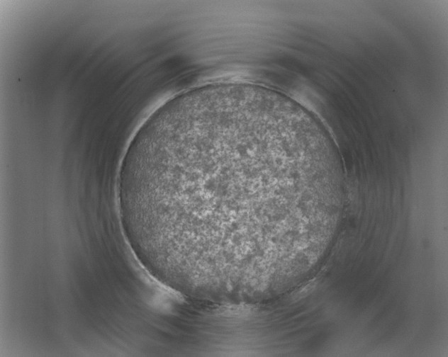 X0000062861090200601271524