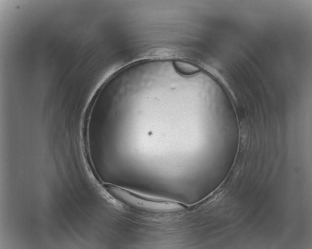 X0000062861091200601271524