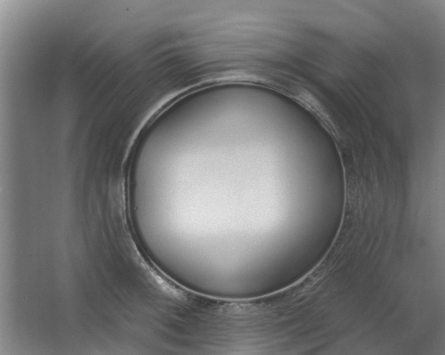 X0000062861092200601271524