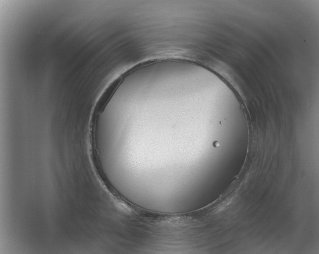 X0000062861093200601271524