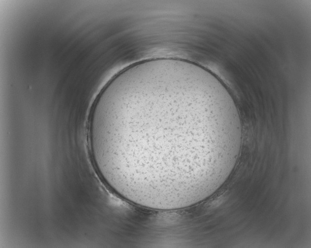 X0000062861094200601271524