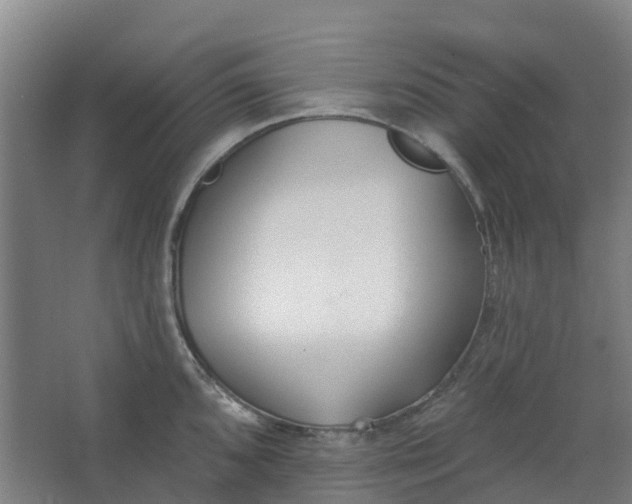 X0000062861096200601271523