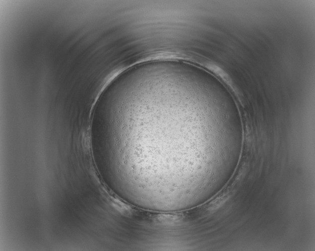 X0000062861097200601271523