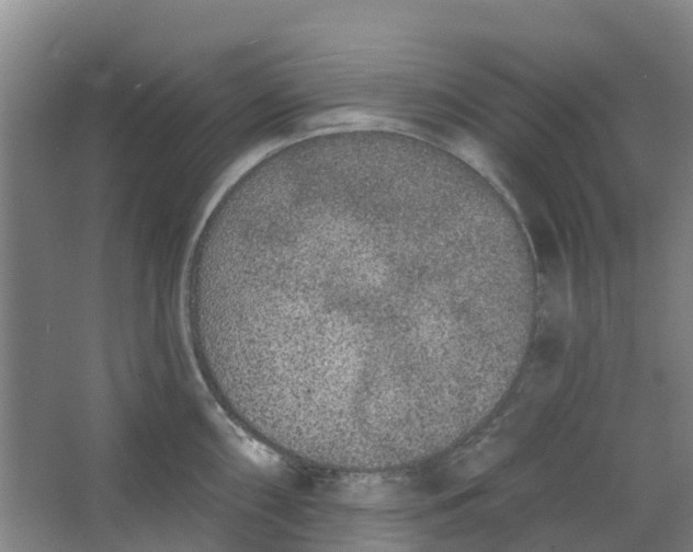 X0000062861098200601271523