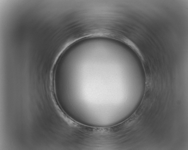 X0000062861099200601271523