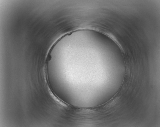 X0000062861100200601271523