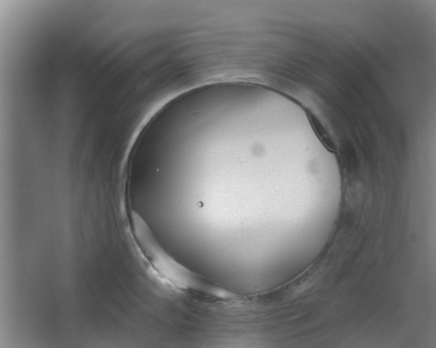 X0000062861102200601271523