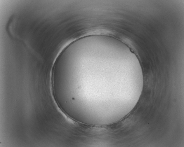 X0000062861103200601271523