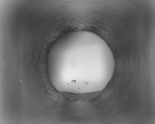 X0000062861105200601271523