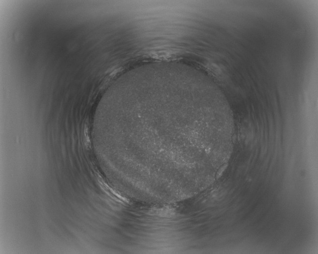 X0000062861106200601271523