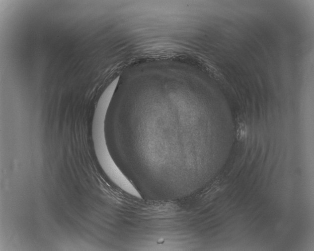 X0000062861108200601271523