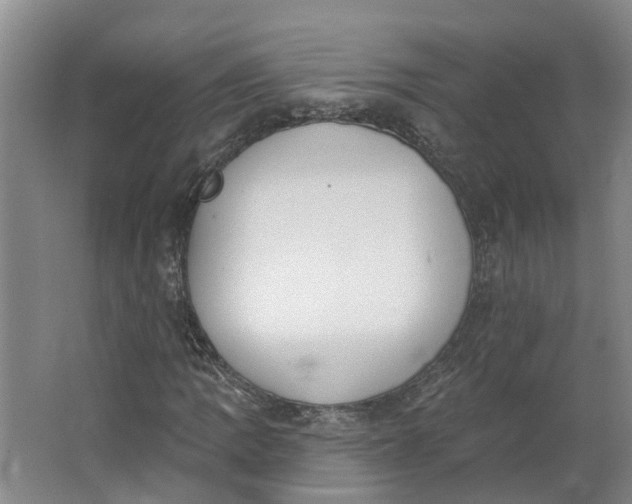 X0000062861109200601271523