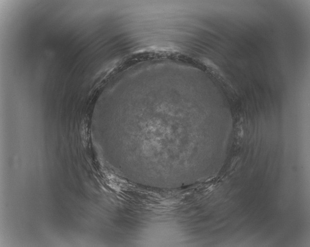 X0000062861110200601271523