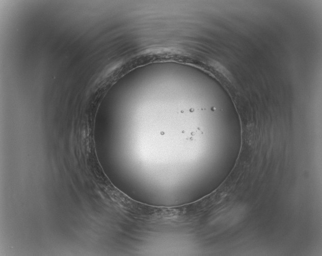 X0000062861111200601271523