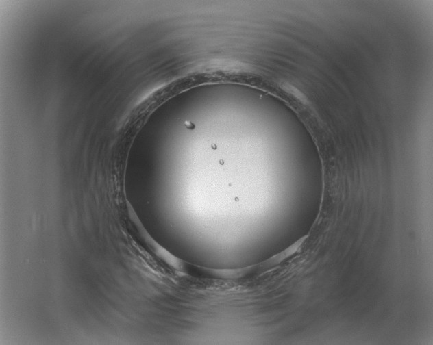 X0000062861112200601271523