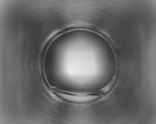 X0000062861114200601271523