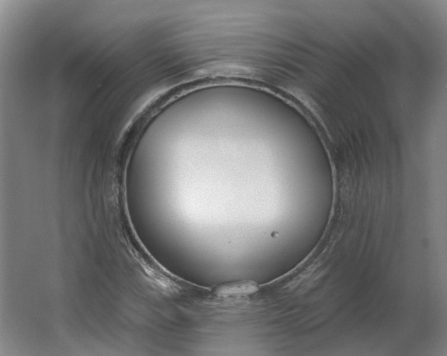 X0000062861115200601271523