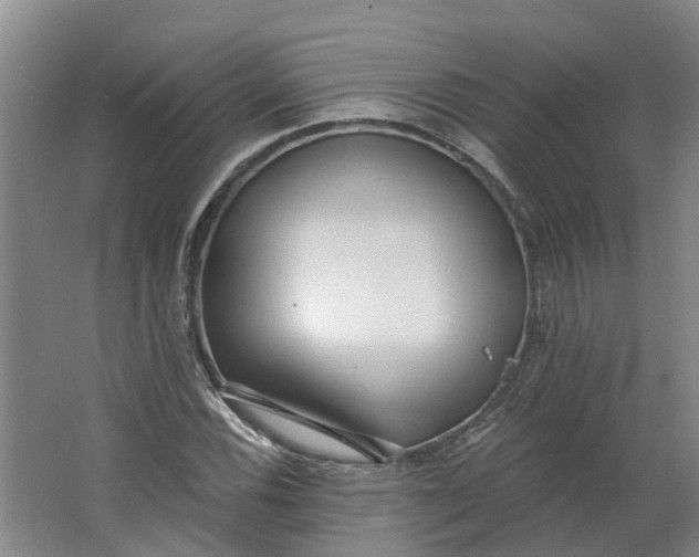 X0000062861116200601271523