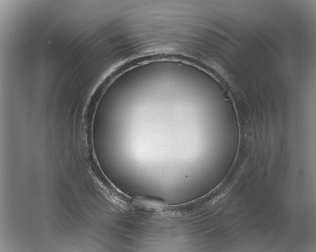 X0000062861118200601271523