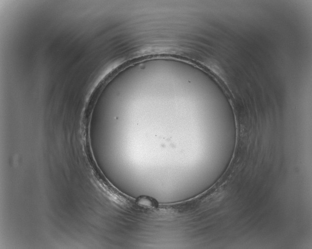 X0000062861119200601271523