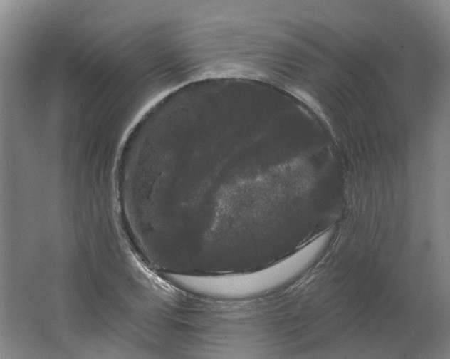 X0000062861120200601271523