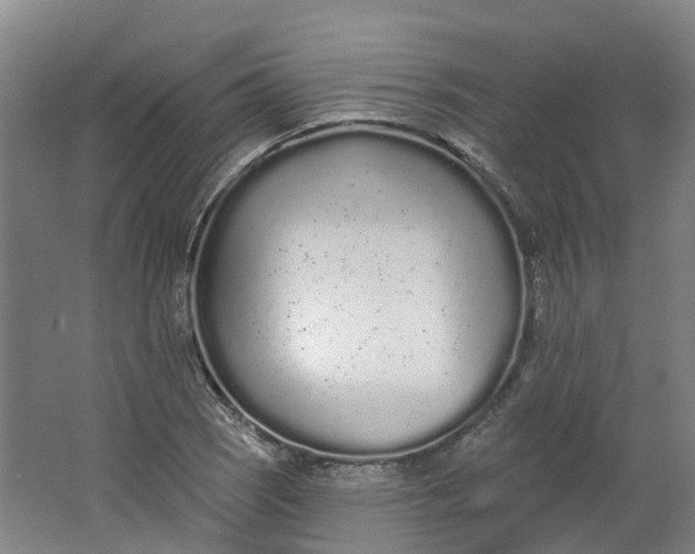 X0000062861121200601271523