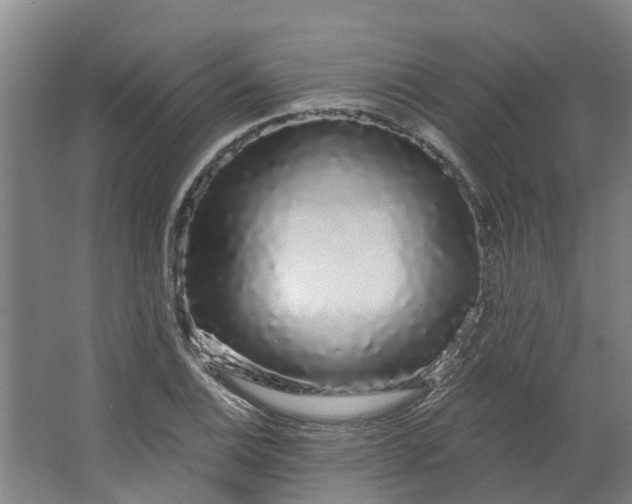 X0000062861124200601271523